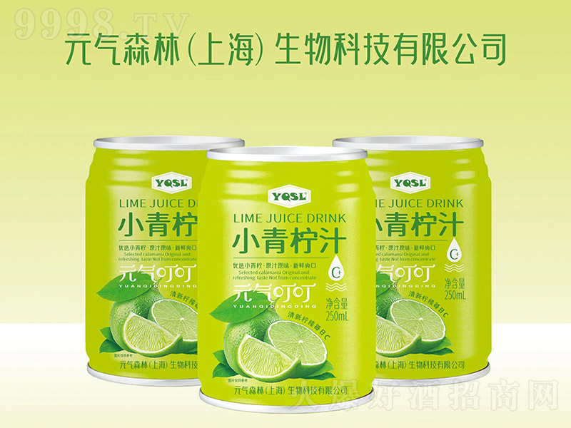 YQSLС֭Ԫⶣ250ml-Ϣ