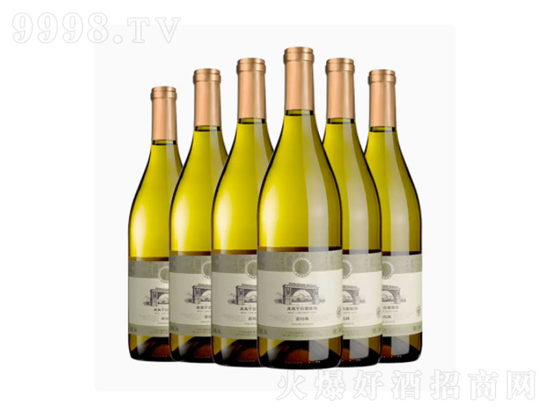 Ī޲zոɰѾ750ml-tϢ