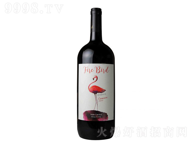 B(nio)ȸɼtѾ1.5L