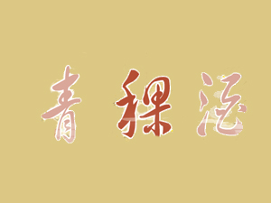 ຣS޹˾